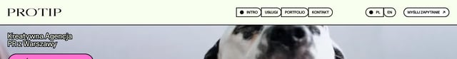 Header Navigation section