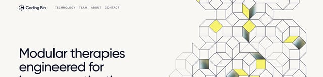 Coding Bio Header Navigation Preview