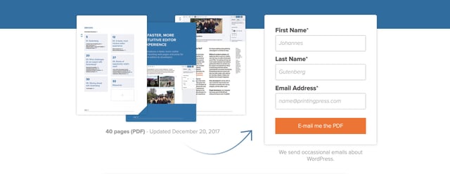 Gutenberg White Paper Lead Capture Section