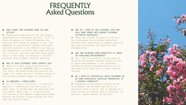 Kenkashi FAQ Grid Preview