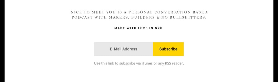 Newsletter section on Nice To Meet You section design