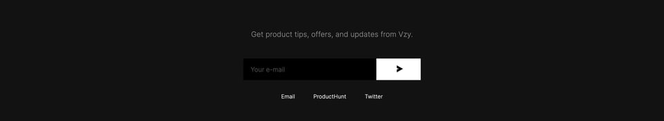 Newsletter section on Vzy Icons section design
