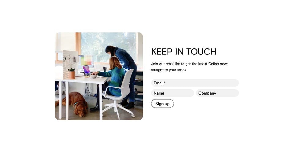 Newsletter section on Saint Friend Collab section design