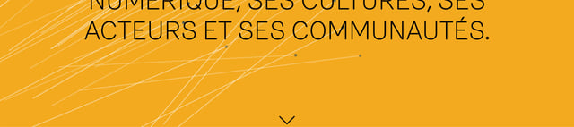 Bug Magazine Scroll Hint Section