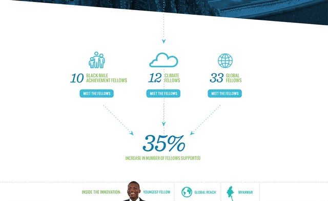 Echoing Green Annual Report Infographics Preview