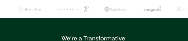 Design Mind Client Logo Row Preview