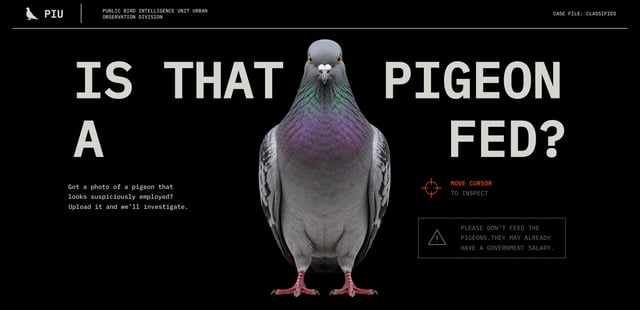 Is That Pigeon a Fed? Looping Product Demo Preview