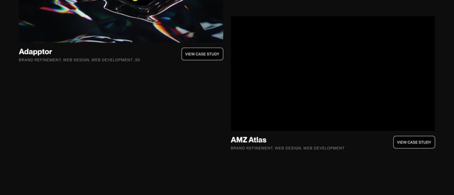Portfolio section