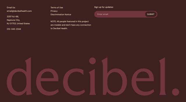 Decibel Health Big Footer Preview