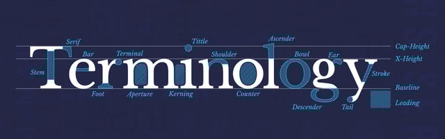 Type Terms Infographics Preview