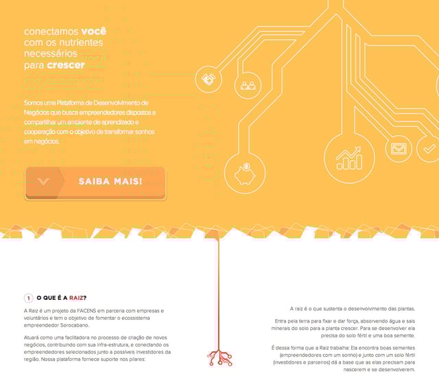 Raiz Infographics Preview