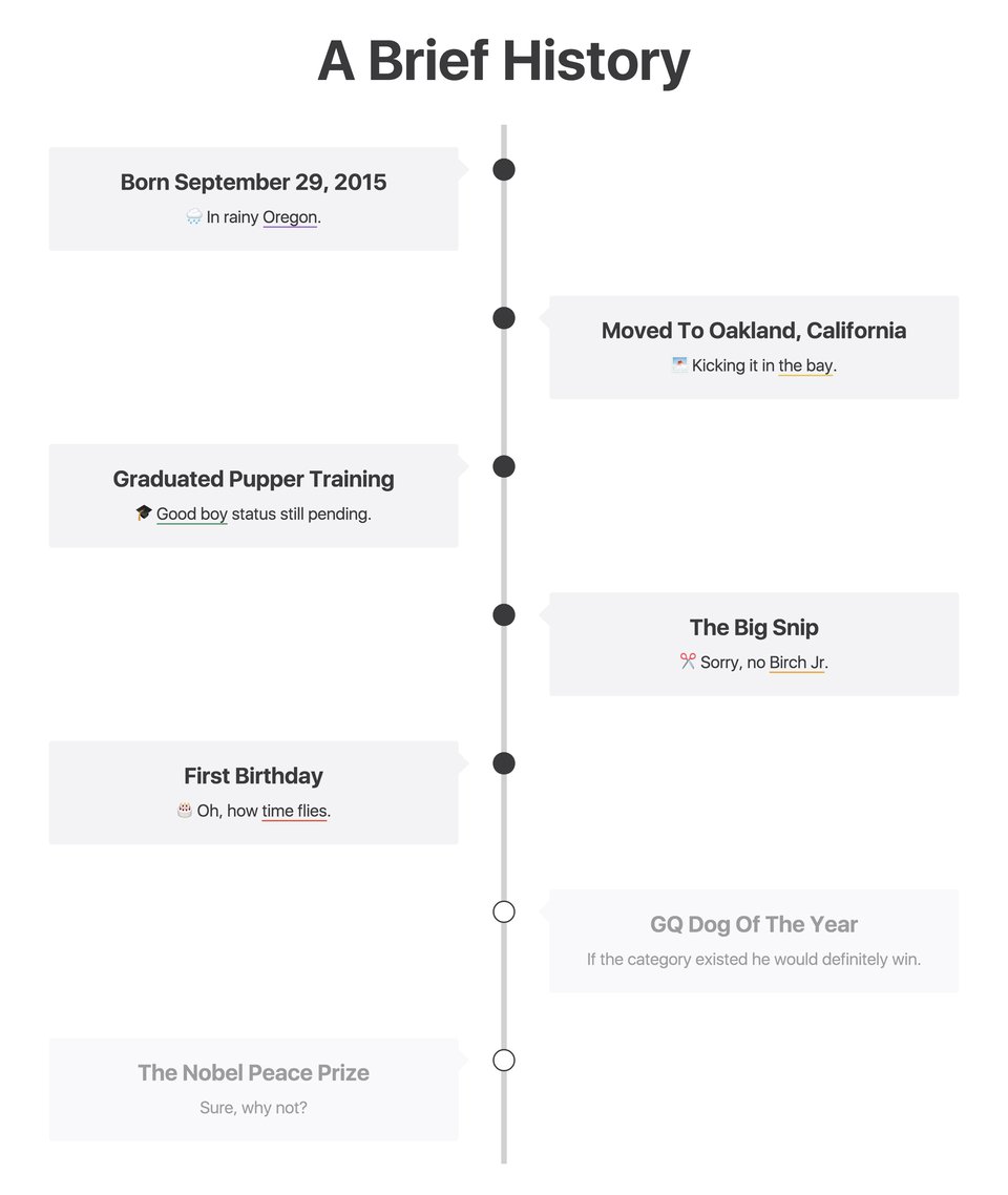 Timeline section on Doggo For Hire section design