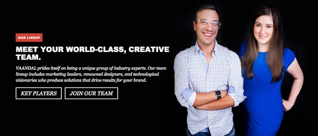 Vaandal Team Preview