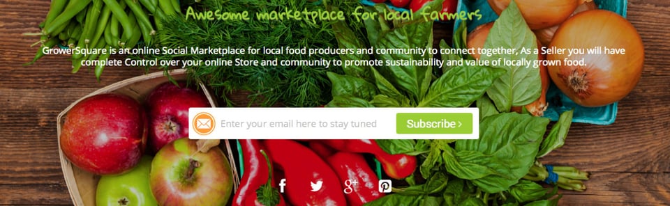 Waitlist or Beta Sign Up section on GrowerSquare section design