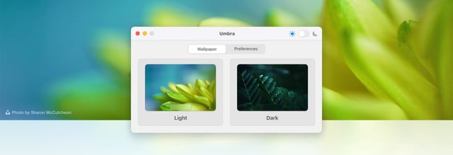 Umbra Screenshots Preview