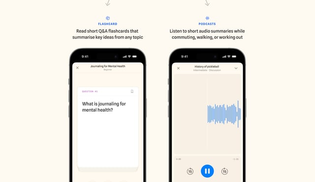 Lumnea Looping Product Demo Section