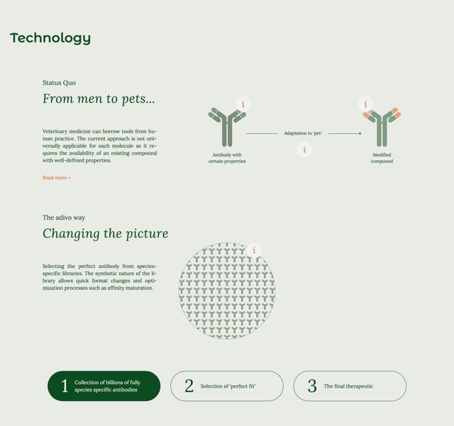 adivo Infographics Preview