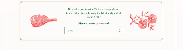 COTE Newsletter Preview