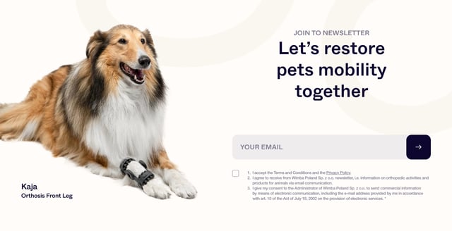 Wimba Newsletter Preview