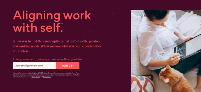 Pave Waitlist or Beta Sign Up Section