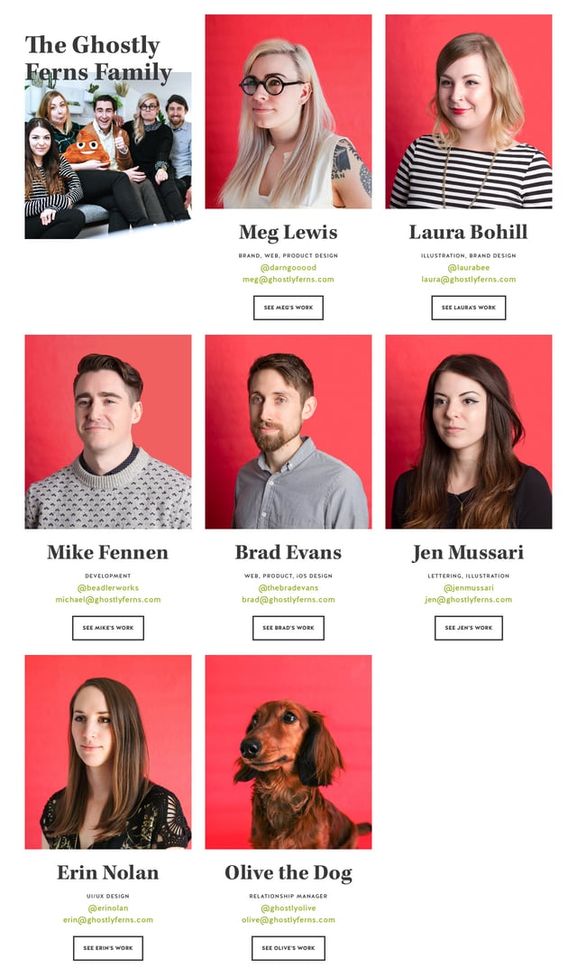 Ghostly Ferns Team Preview