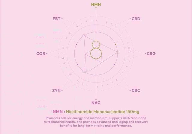 Elev8 H2O Infographics Preview