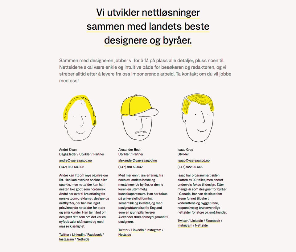 Team section on Værsågod section design