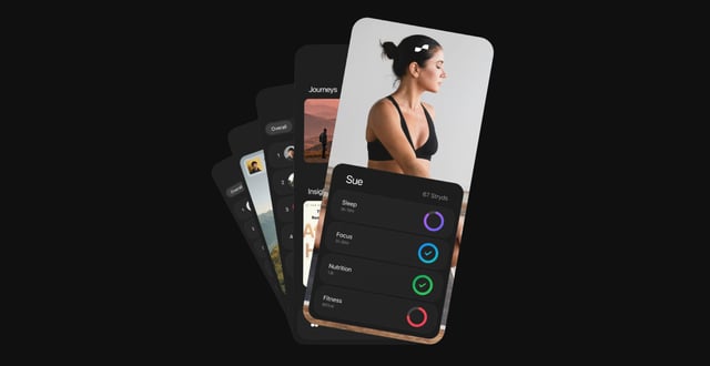 Stryds Device Mockup Preview