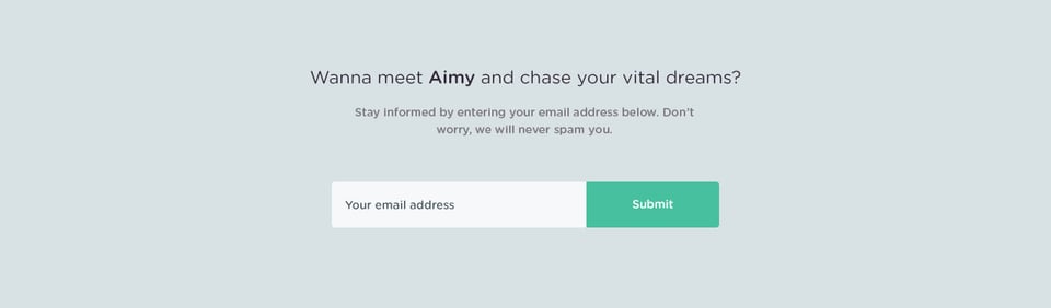 Newsletter section on Aimy section design