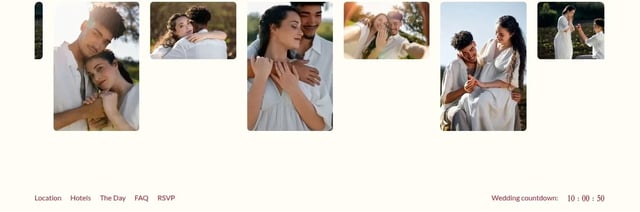 Delphin Footer Preview