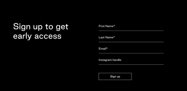 Type Loop Lead Capture Preview