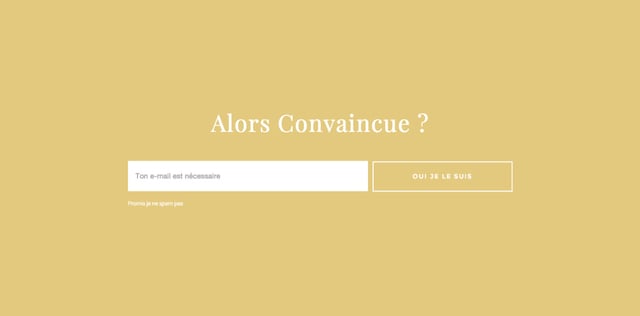 Online Proposal of François Martin Lead Capture Preview