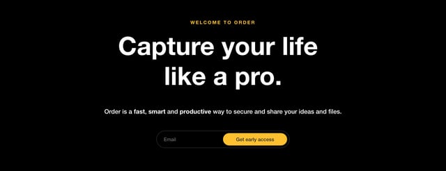 Order Lead Capture Section