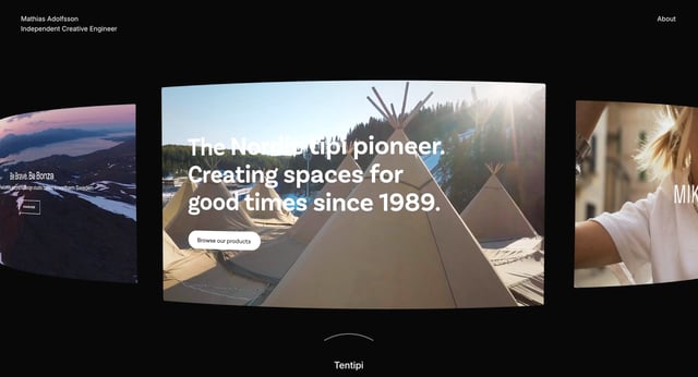 Portfolio section