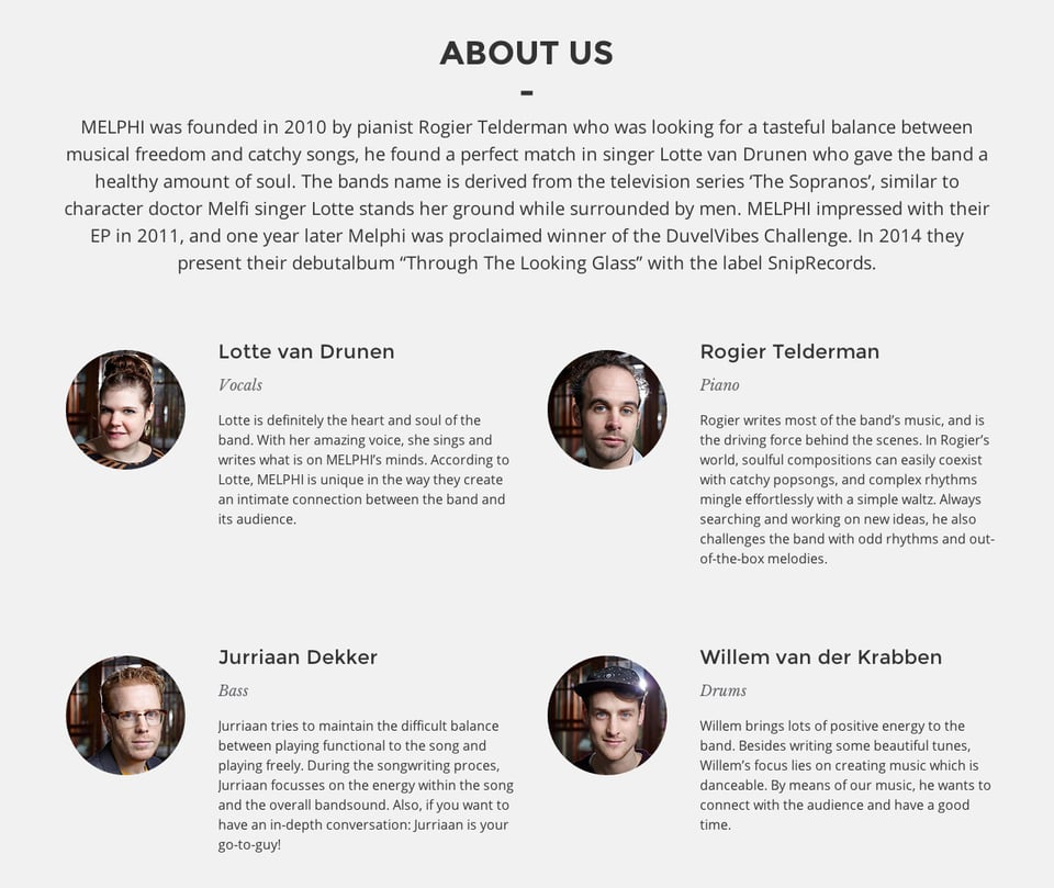 Team section on Melphi section design
