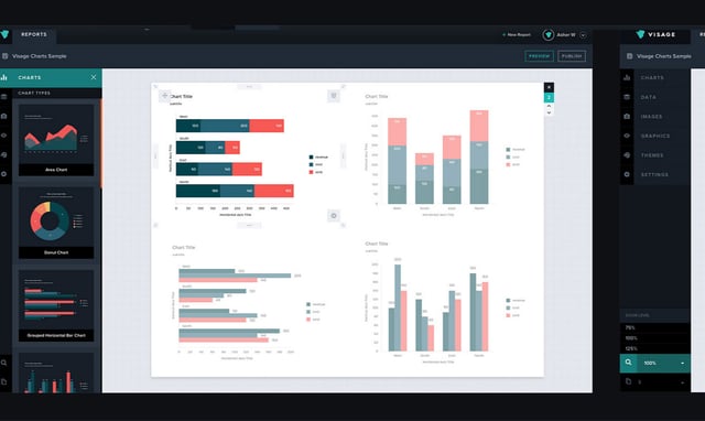 Visage Infographics Preview