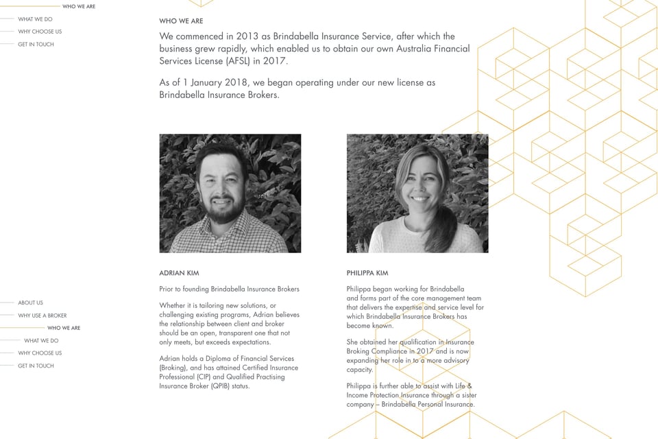 Team section on Brindabella Insurance Brokers section design