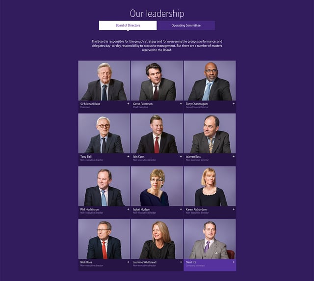 BT Annual Report Review 2015 Team Preview