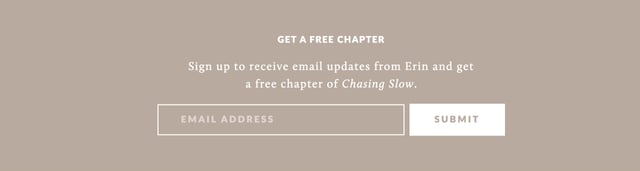 Chasing Slow Lead Capture Section