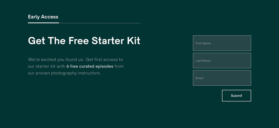 Waitlist or Beta Sign Up section on Wildist section design