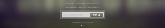 DesignCub Lead Capture Preview