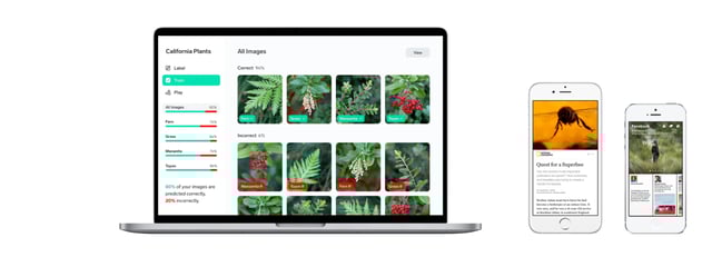 Mike Matas Device Mockup Preview
