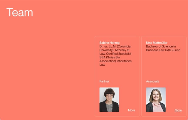 HERZOG.law Team Preview