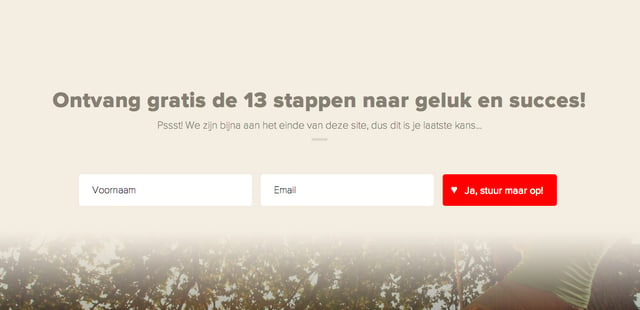 365 Dagen Succesvol Lead Capture Preview