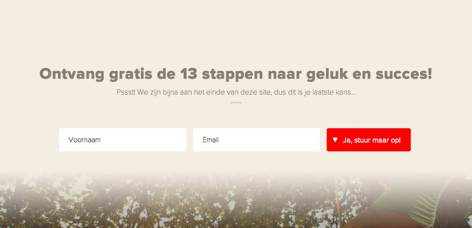 Newsletter section on 365 Dagen Succesvol section design