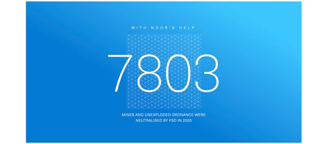 FSD 2020 Annual Report Metrics Preview