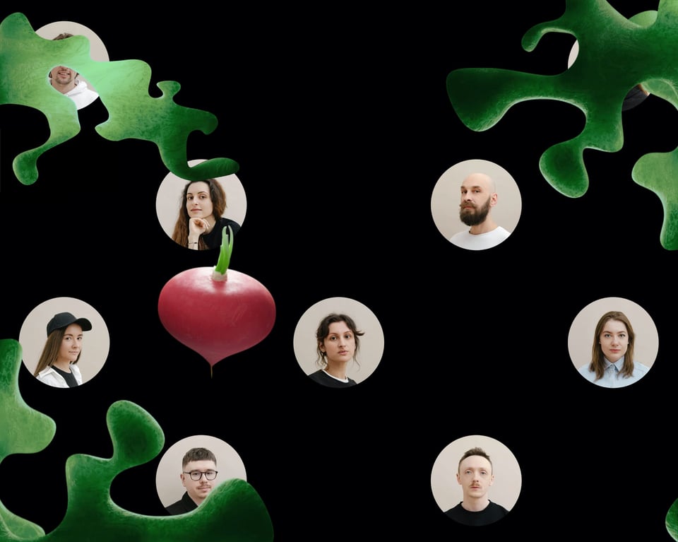 Team section on Redis Agency section design