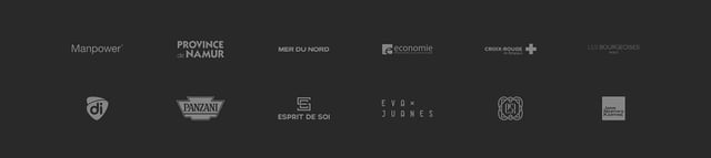 Kingsize Client Logo Grid Preview