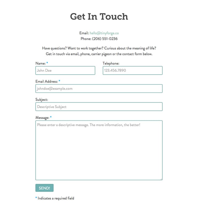 Tiny Forge Contact Form Preview