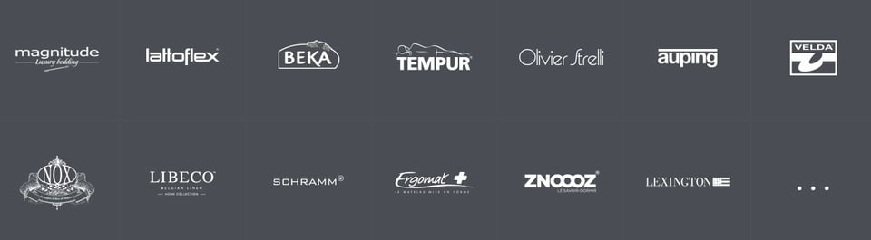 Client Logo Grid section on Père Dodo section design